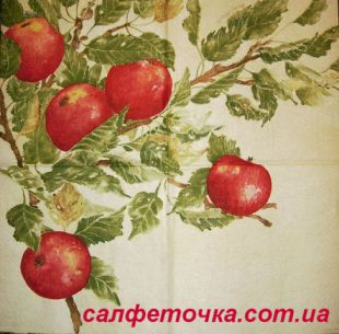 Cалфетка для декупажа
МС693